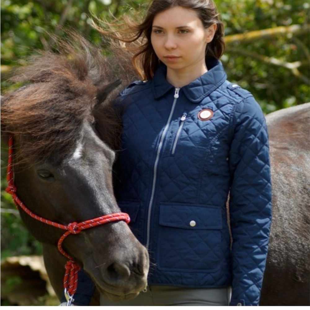 Mountain horse
